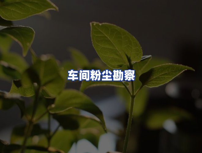 服务优势