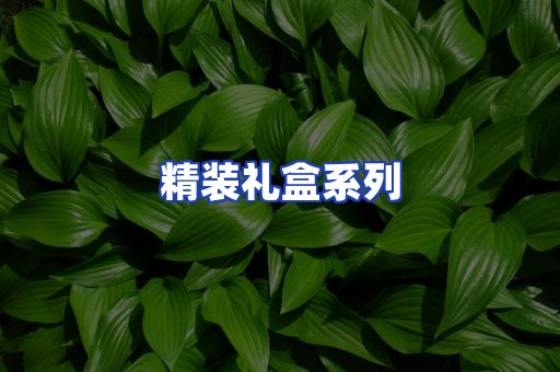 精装礼盒系列