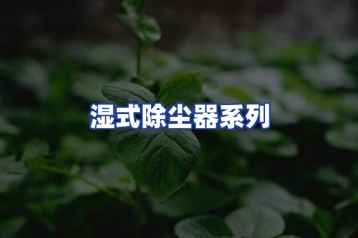 湿式除尘器系列